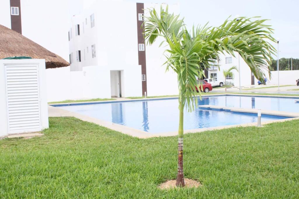 普拉亚卡门Depa De Playa C/Alberca Cerca De La 5A Avenida公寓 外观 照片